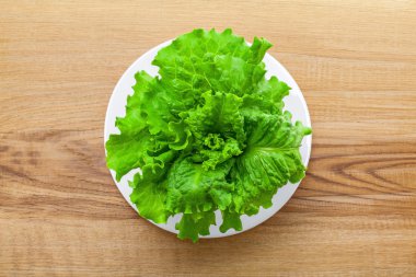  Taze yeşil marul yaprakları