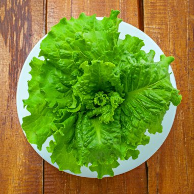  Taze yeşil marul yaprakları