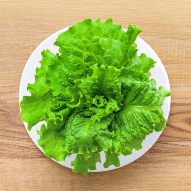  Taze yeşil marul yaprakları