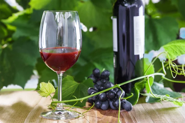 Glas Rotwein — Stockfoto