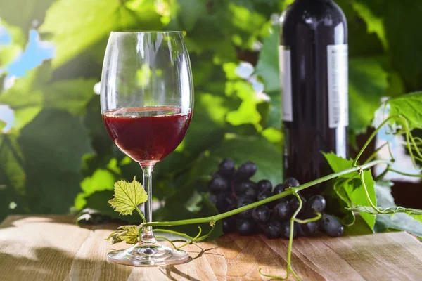 Glas Rotwein — Stockfoto