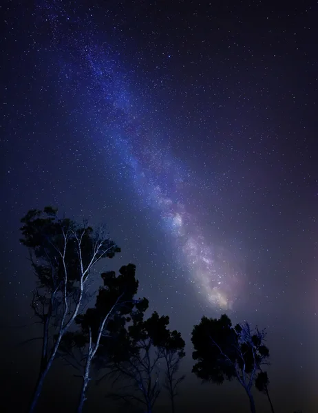 Estrelas — Fotografia de Stock