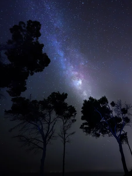 Estrelas — Fotografia de Stock