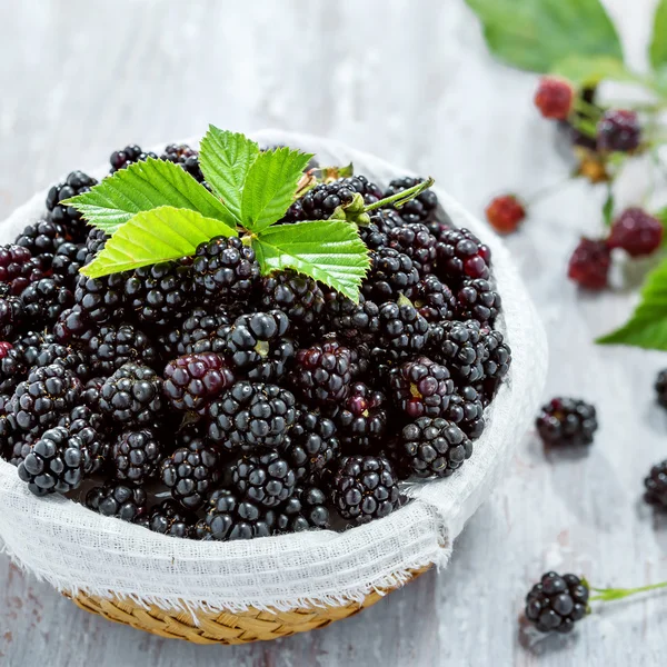 Blackberry — Stock Photo, Image