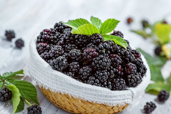 Blackberry — Stock Photo, Image