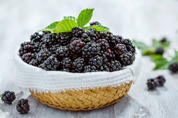 Blackberry — Stock Photo, Image