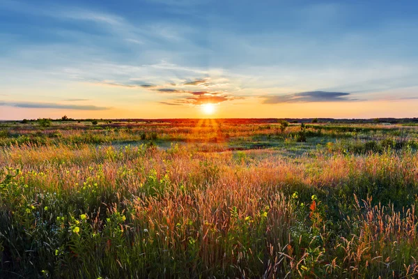 Atardecer paisaje — Foto de Stock