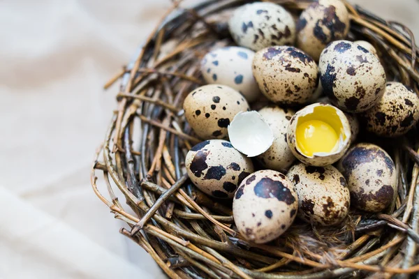 Easter background with eggs of quails — Φωτογραφία Αρχείου