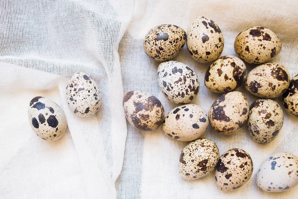 Αυγά από ορτύκια σε υφαντικές ύλες — Φωτογραφία Αρχείου