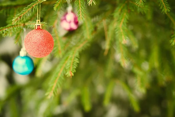 Christmas boll på fir-trädgren utomhus — Stockfoto