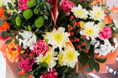 Canlı renk gül arka plan