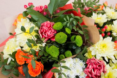 Canlı renk gül arka plan