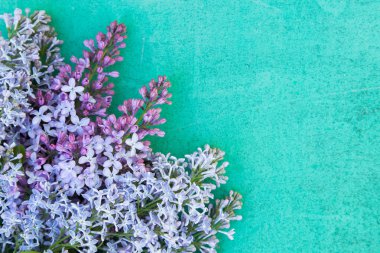 Anneler günü mor ve turkuaz arka plan