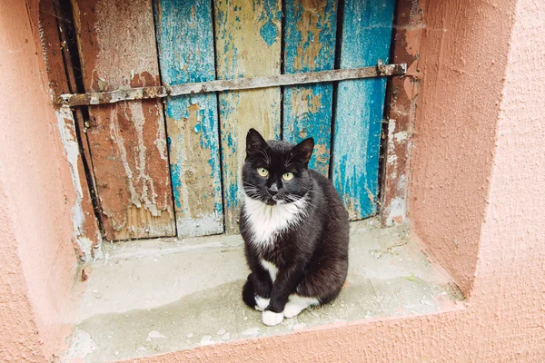 Gato preto bonito sentado no peitoril da janela — Fotografia de Stock