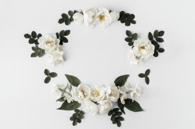 Yaz beyaz yaban gülü ile çerçeve çiçek