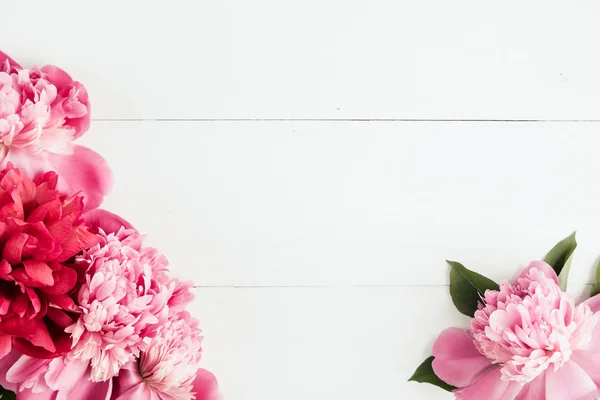 Летняя цветочная рамка с розовыми пионами — стоковое фото
