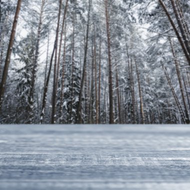 Perspektif bulanık kış arka plan ile orman