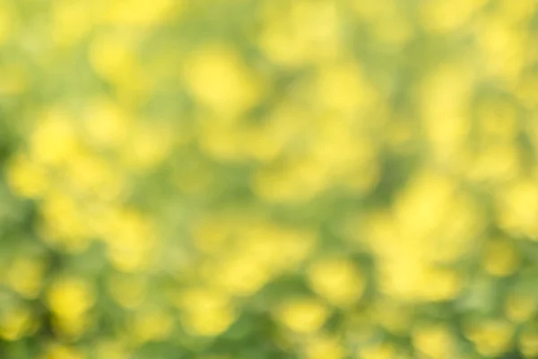 Fondo bokeh floral verde amarillo, desenfoque de la lente —  Fotos de Stock