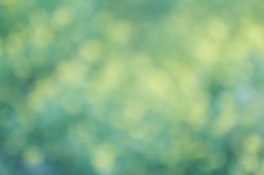 Sarı yeşil çiçek bokeh arka plan, Mercek Bulanıklığı