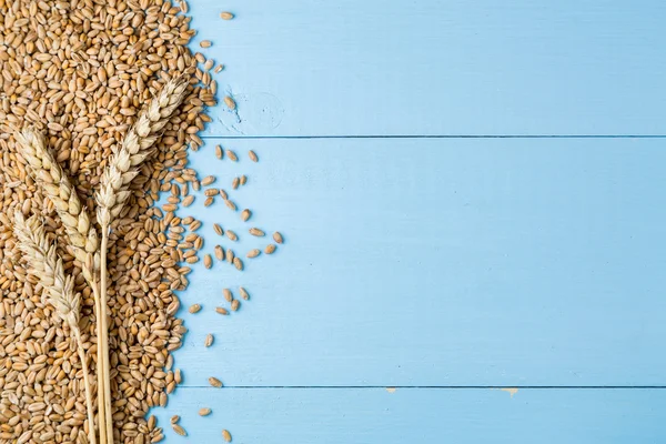 Зрізати золоті вуха пшениці на синьому дерев'яному фоні — стокове фото