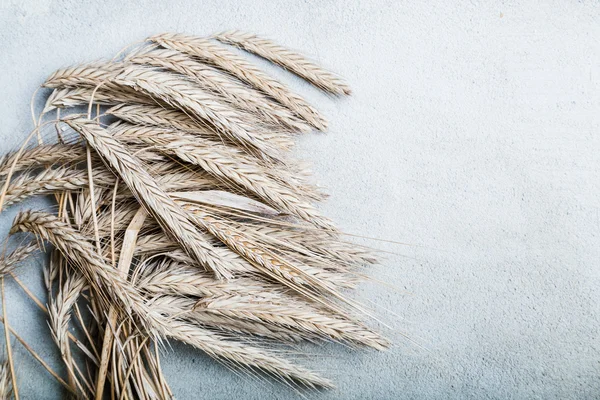 Ripe wheat on grey rustic background — Stock Photo, Image