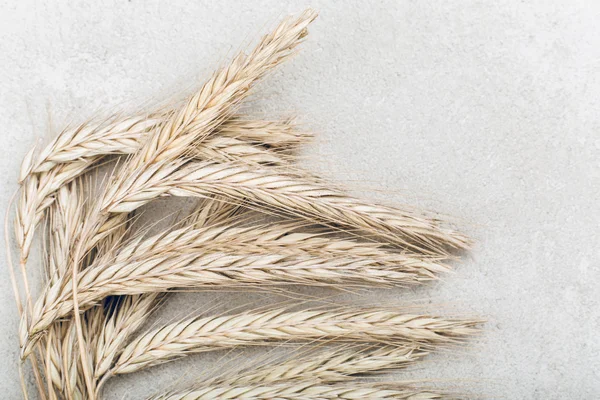 Ripe wheat on grey rustic background — Stock Photo, Image