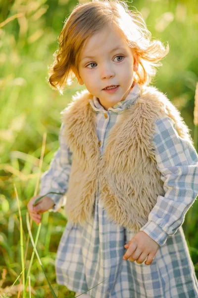Menina sorridente bonito em um campo verde no pôr do sol — Fotografia de Stock
