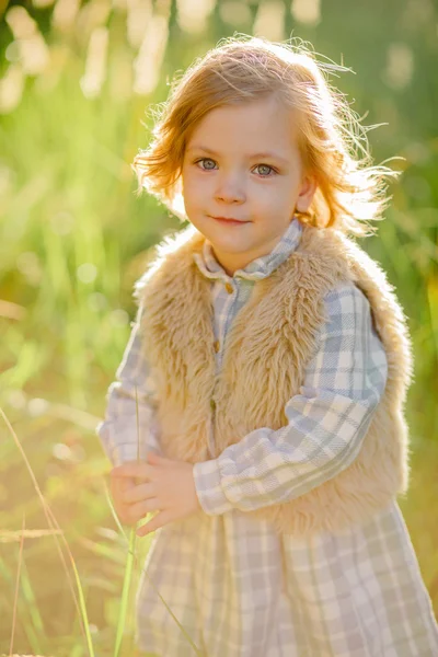 Menina sorridente bonito em um campo verde no pôr do sol — Fotografia de Stock
