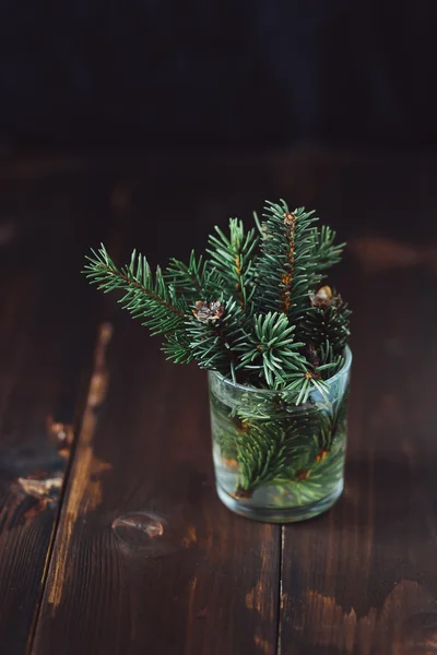 Branch of fir-tree in a water glass — Stock Photo, Image