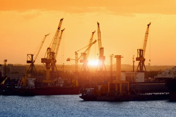 Navios e guindastes ao pôr do sol — Fotografia de Stock