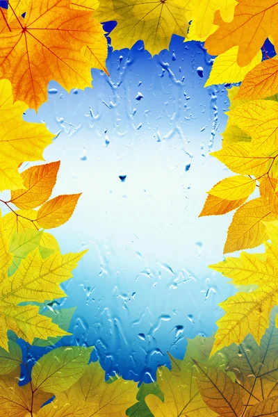 Fall background — Stock Photo, Image