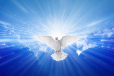 Holy Spirit came down like dove clipart