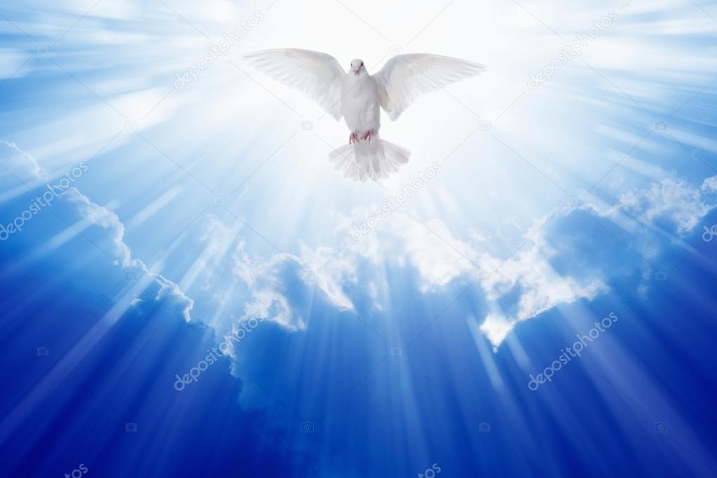 Holy spirit dove — Stock Photo © I_g0rZh #68878617