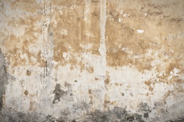 Küflü sıva ile eski duvar