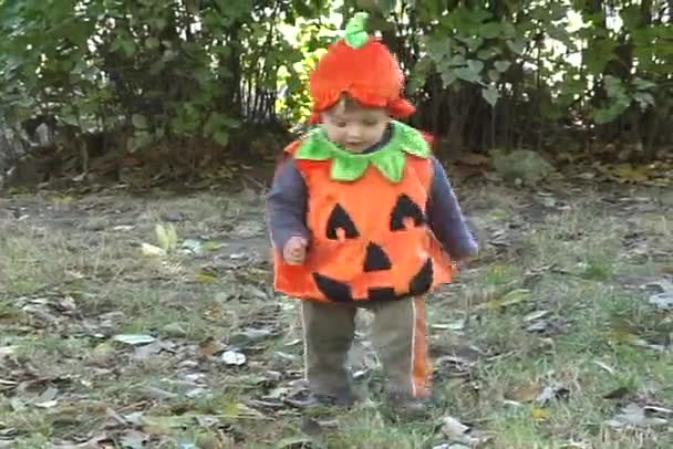 Pumpkin Baby goes and laughs — Stock Video
