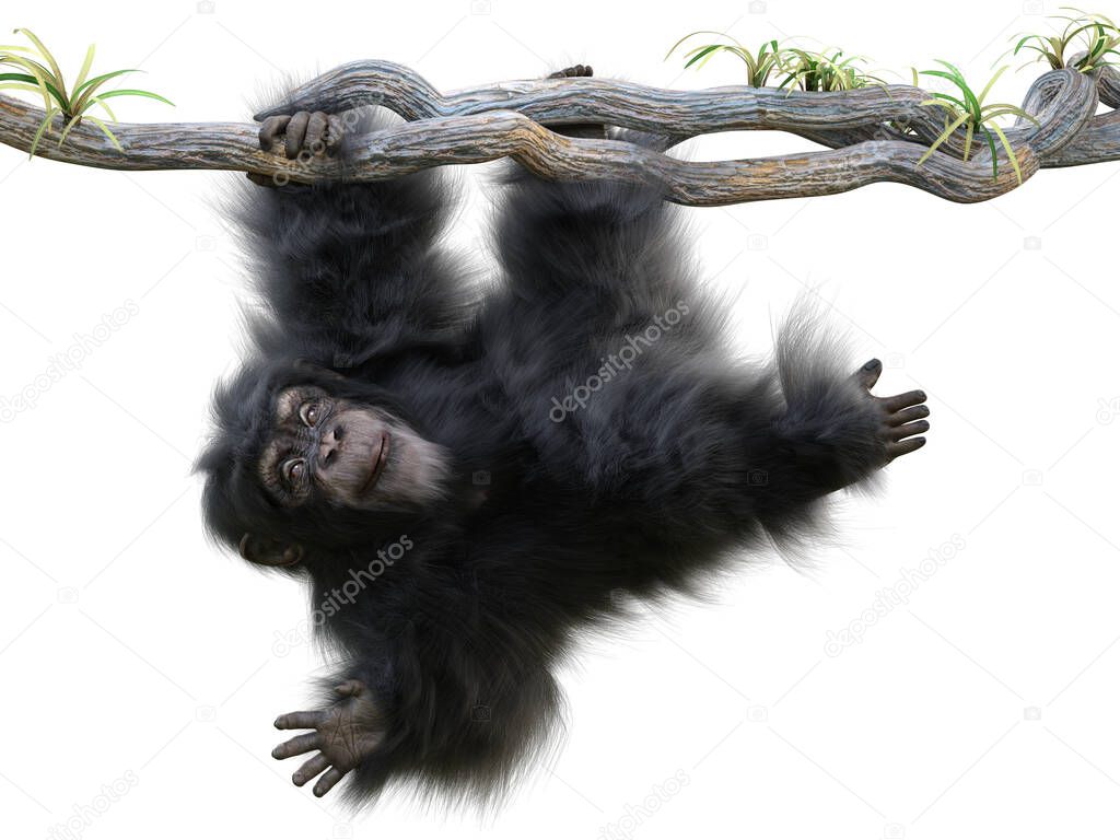 Cute little monkey hanging from a tree limb waving toward the camera on a white background. 3d rendering