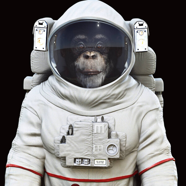Monkey astrochimp posing in a spacesuit with a black background. 3d rendering