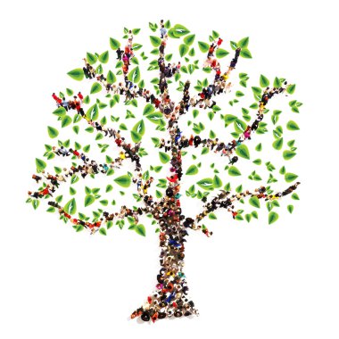 Aile Ağacı.