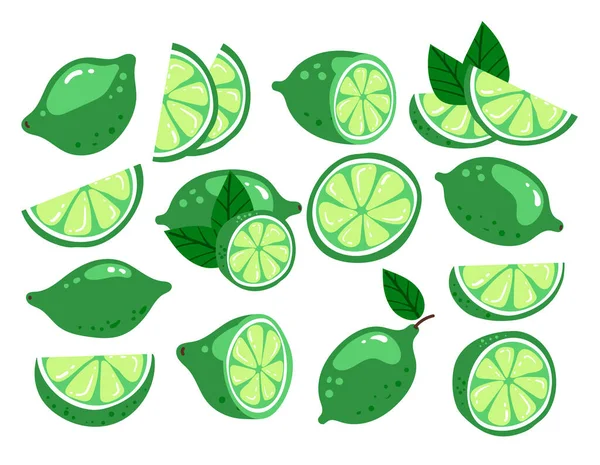 Cartoon Hand Drawn Doodle Modern Style Lime Green Citrus Half — Stock Vector