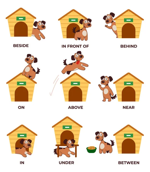 Küçük sevimli köpek karakteriyle İngilizce edatlar öğreniyor. Köpek kulübesinin arkasında, altında, üstünde, önünde, içinde ve arasında. Modern tarz düz çizgi film grafik illüstrasyonu