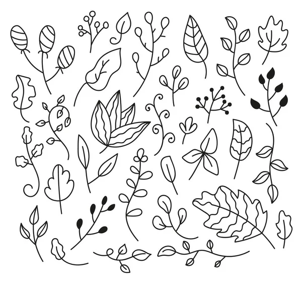 Set Hand Drawn Sketch Doodle Isolated White Background Leaves — Stock Vector