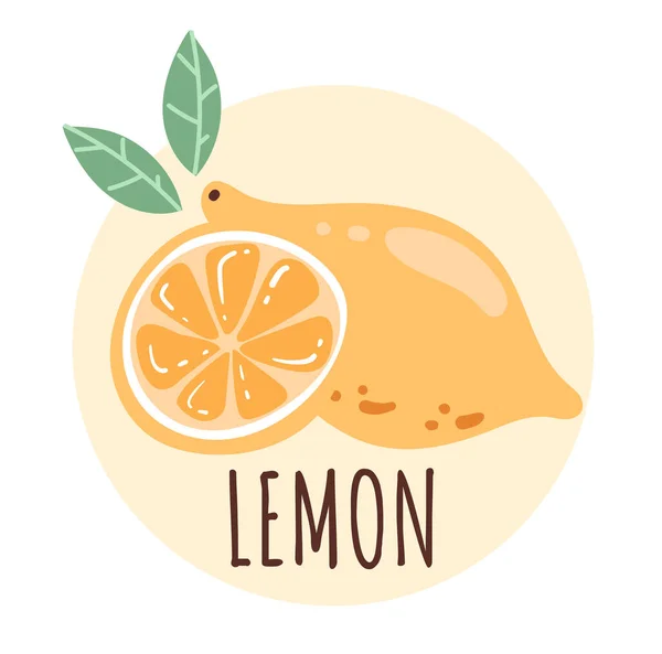 Графический Дизайн Лимона Нарисованный Вручную — стоковый вектор
