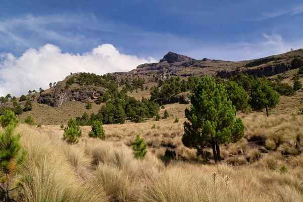 Prachtig Uitzicht Het Landschap Van Een Bebost Gebied Met Volcan — Stockfoto
