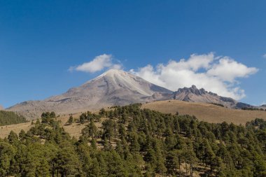 A beautiful shot of the Pico de Orizaba volcano in Mexico. Relief highest mountain and a forest clipart