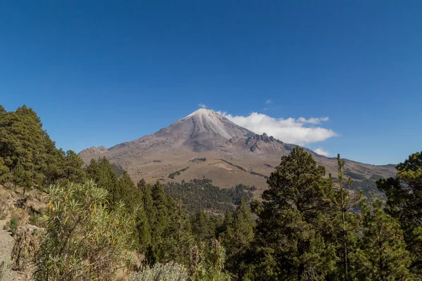 Meksika 'daki Pico de Orizaba yanardağının güzel bir görüntüsü. En yüksek dağ ve bir orman.
