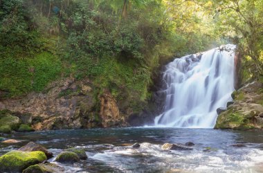 la monja waterfall located in xico veracruz Mexico clipart