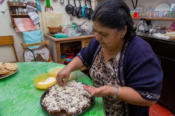 Femme Chef Posant Avec Des Assiettes Nourriture Traditionnelle Enchiladas Mole — Photo