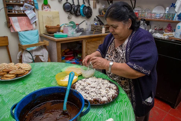 Femme Chef Posant Avec Des Assiettes Nourriture Traditionnelle Enchiladas Mole — Photo