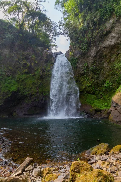 Xico Veracruz Meksika Yosunlu Bir Uçurumdan Akan Bir Şelalenin Güzel — Stok fotoğraf