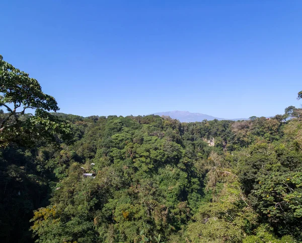 Hermoso Paisaje Bosque Montaña — Foto de Stock